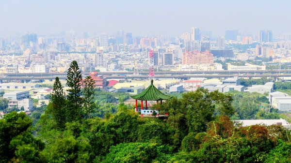 大社觀音山2954769