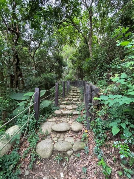 ［豐原］公老坪蜈蚣崎登山步道2581304