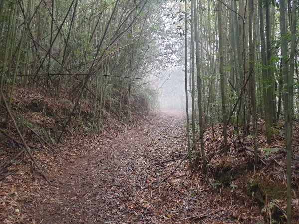 李崠山馬望僧侶山O型+烏來山1583422