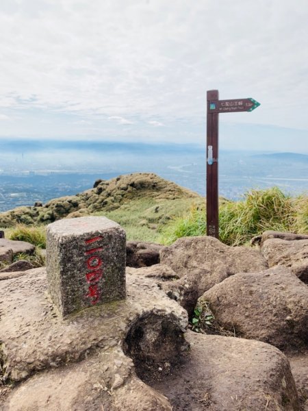 1080202七星山主東峰苗圃線515379