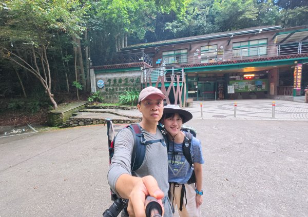 雪見大板根2924682