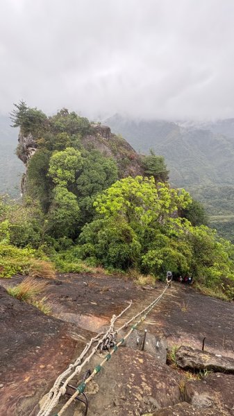 迎新（2026元旦2975606