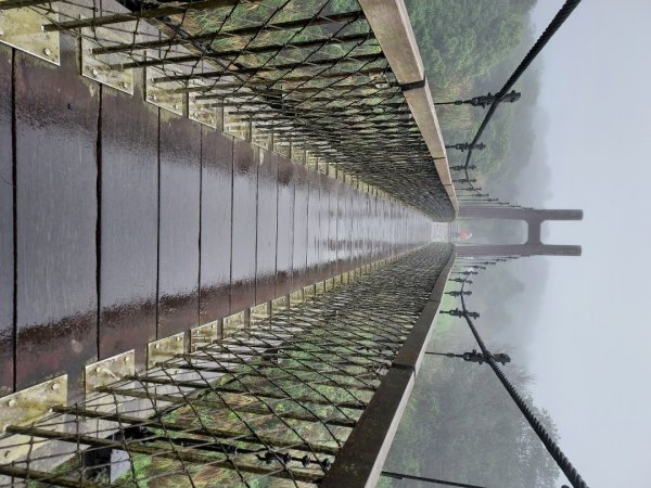 小油坑～七星山～冷水坑～擎天崗1940756