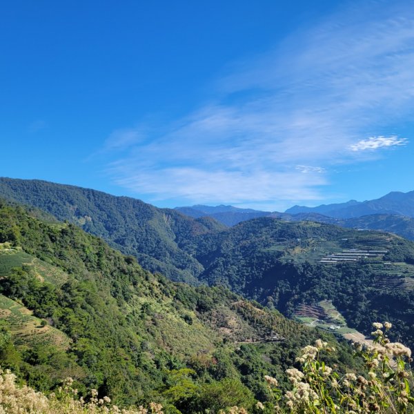 南東眼山（埔里六秀）1505593