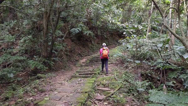 (姨婆趴趴走)第四十七集:新北土城大暖坑山等諸峰攀登連走2738745
