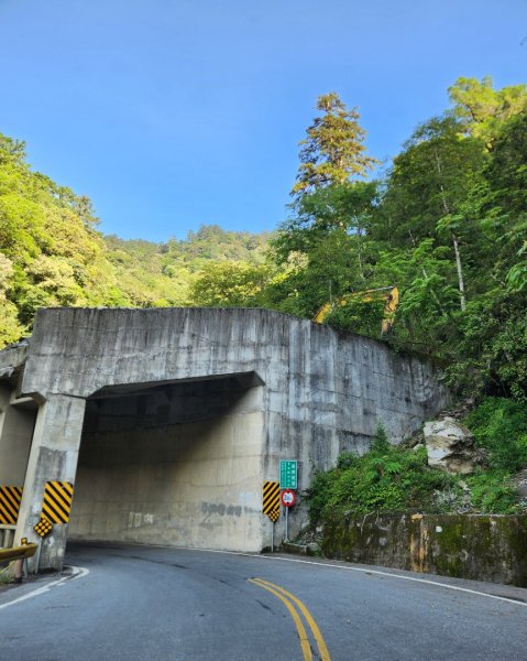 【百岳】雲海的浪漫，羊頭山單攻3045311