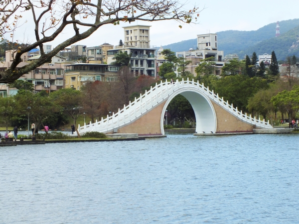 白鷺鷥山12987