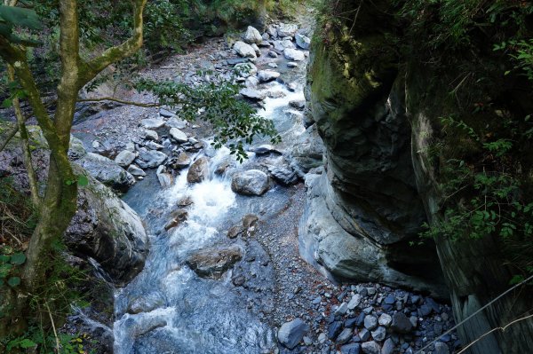 花蓮 秀林 屏風山2359402