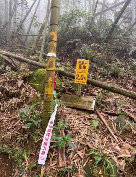豹牙登山口上鳳凰山/小百岳#533069719