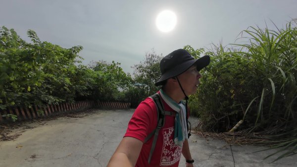 高雄 小崗山2927233