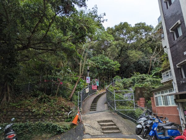 2024-03-31 金面山親山步道、剪刀石、象山親山步道2793306