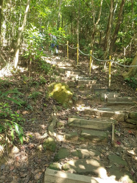 金面山步道1717056