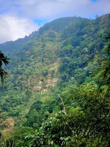 雲嘉大尖山、二尖山步道--(雲林)臺灣百大必訪步道2955785
