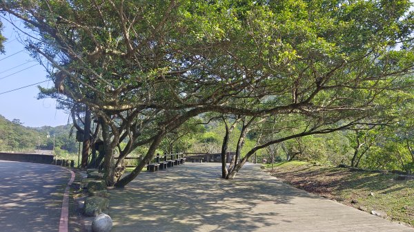 (姨婆趴趴走)第四十八集:新北草嶺古道（福隆車站-大里車站）2747645