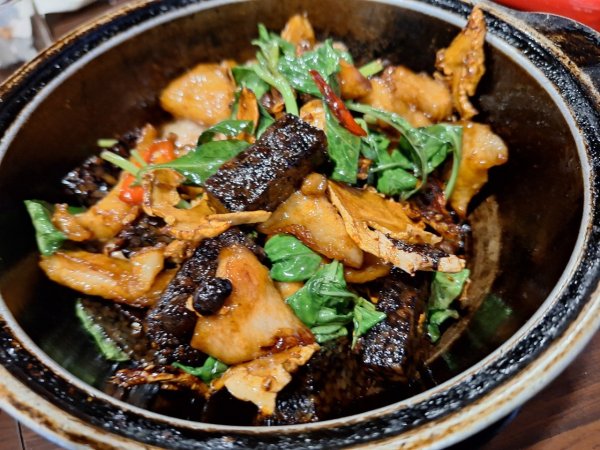 2025元旦山行 新店直潭山、二龍山O型2784972