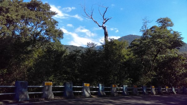 【臺北親山拓印趣】天母古道、中山北路853852