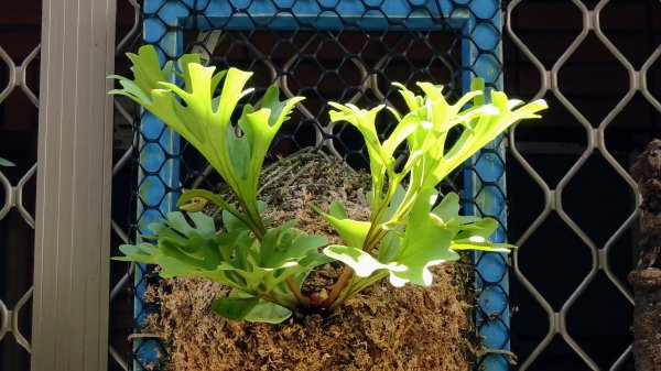 串珠步道,二砂灣砲台,大砂灣西東砲台,綠丘砲台,基隆塔2257491