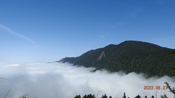 太平山之望洋山&觀雲步道之雲海+觀音圈5/282163469