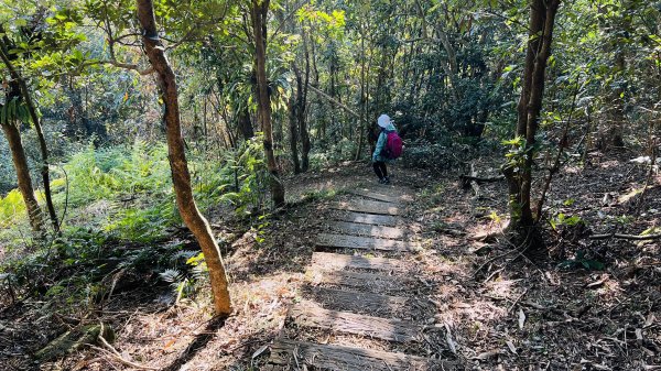 [台南東山]崁頭山步道|林蔭巨石木棧道視野遼闊的親子簡單輕鬆步道|優雅竹林圍繞三角點清幽野餐1603476