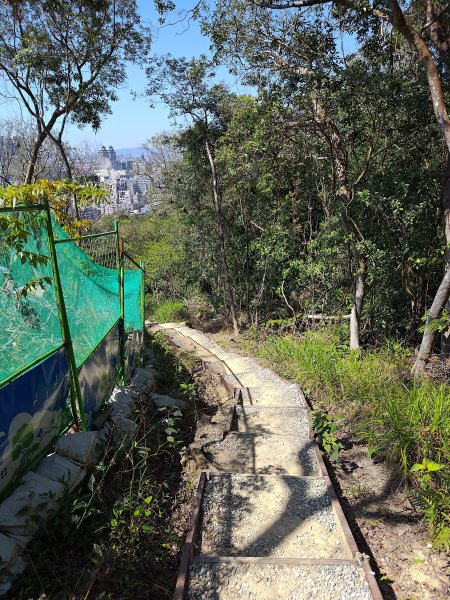 20260315金面山3015563