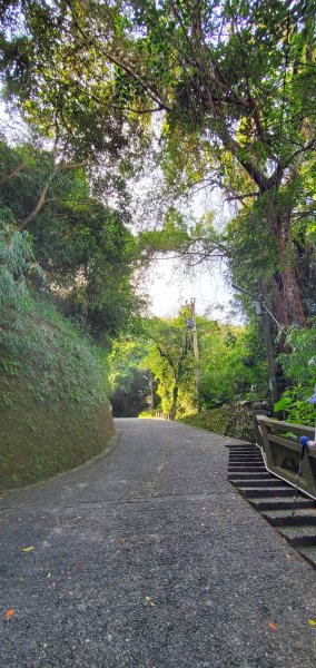 2021-09-20紅淡山登山步道1465677