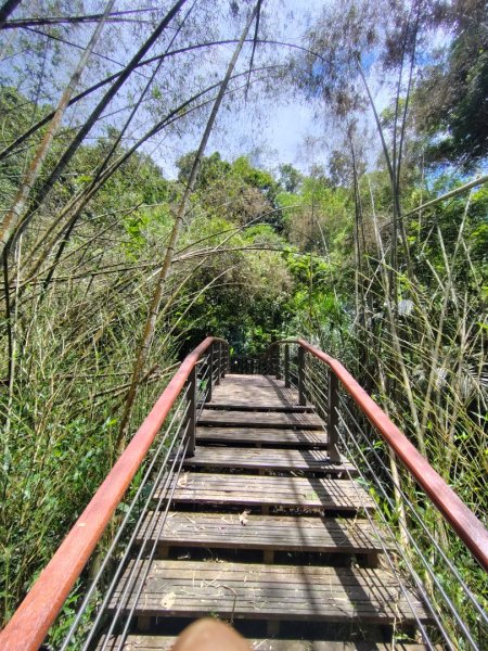 達娜伊谷-里美避難步道-巨石板步道-約富霓2788547
