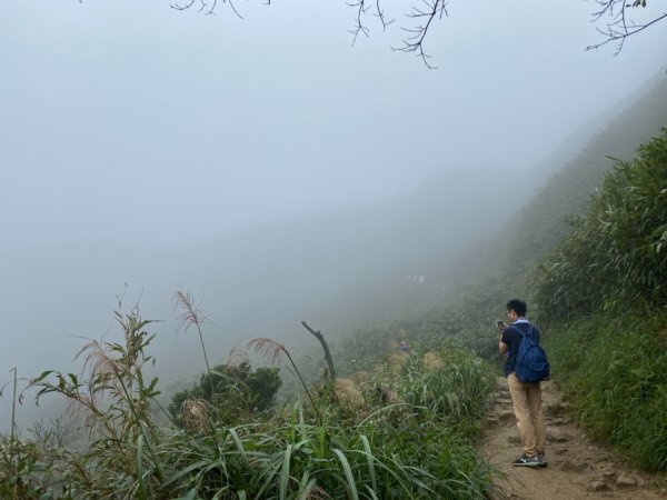 步道巡訪員 l 109年10月份聖母山莊步道巡訪1155778