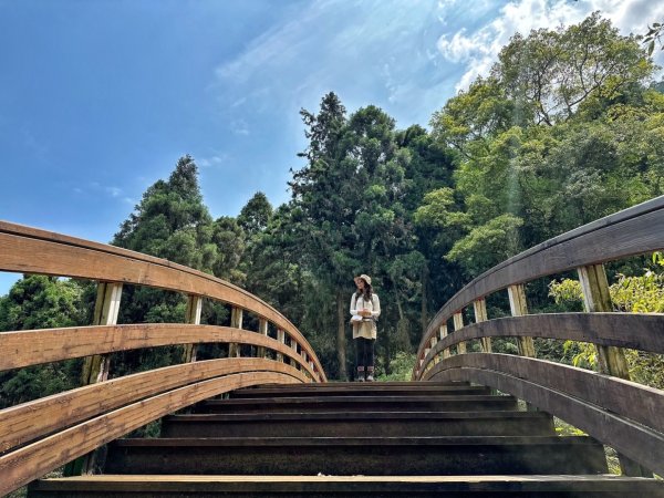 溪頭天文台 空中走廊 神木林道 賞鳥步道2486061