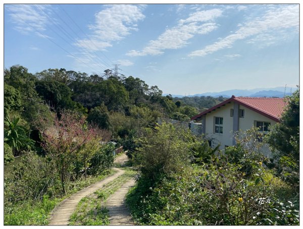 老崎古道、老崎坪頂山 (頭份)2737202