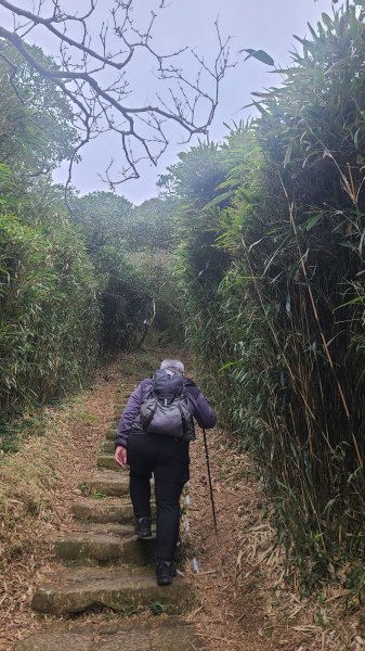 2026-0116 大屯三山_貴子坑_北投2984834