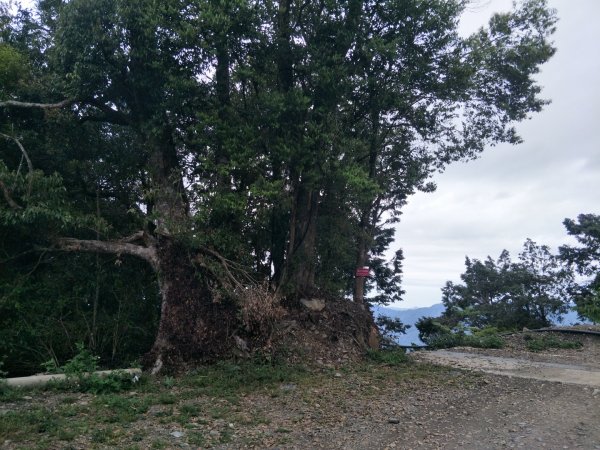 小百岳:東藤技山1654708