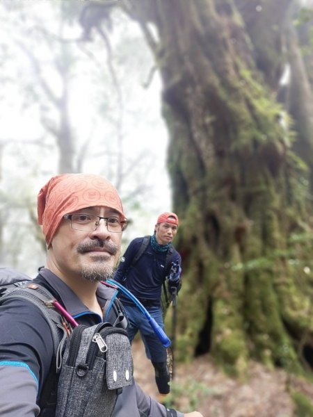 🥵20231107南一段會繞過🤷忘記的溪南山2340096