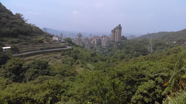 半嶺步道,陽峰古道,陽明公園,白雲瀑布953950