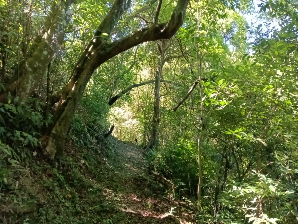 基隆市外西勢坑山+暖暖砲台+福基煤礦遺址O型2907985