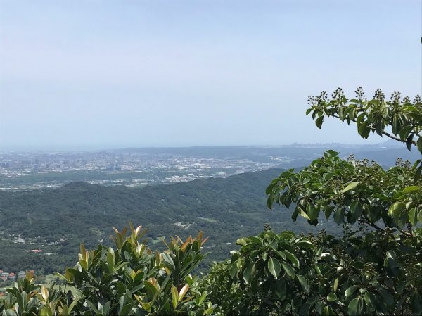 金面山_龍山巖登山口20220716封面