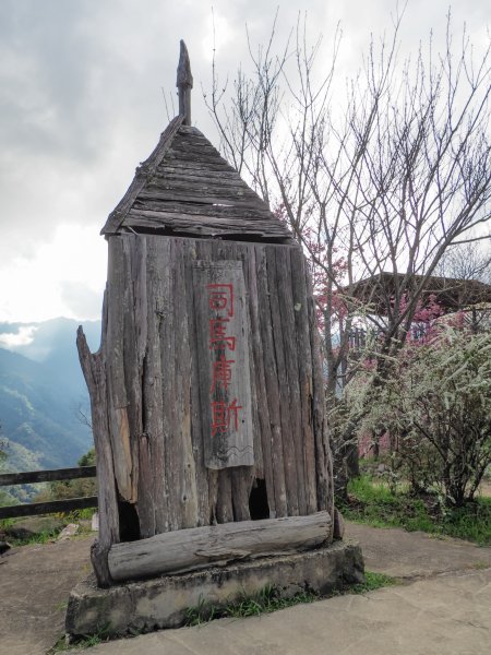 [新竹]司馬庫斯神木步道527174