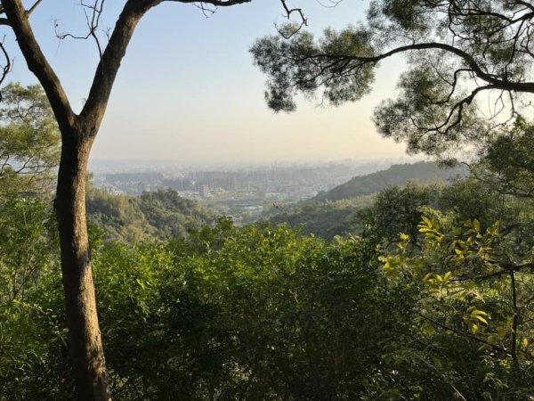 大坑9-1號步道2732240