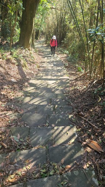 2025-0130溪和宮-大崎頭步道-鵝尾山-平溪步道-鵝尾山水田-42巷-溪山百年古圳-平菁步道2701855