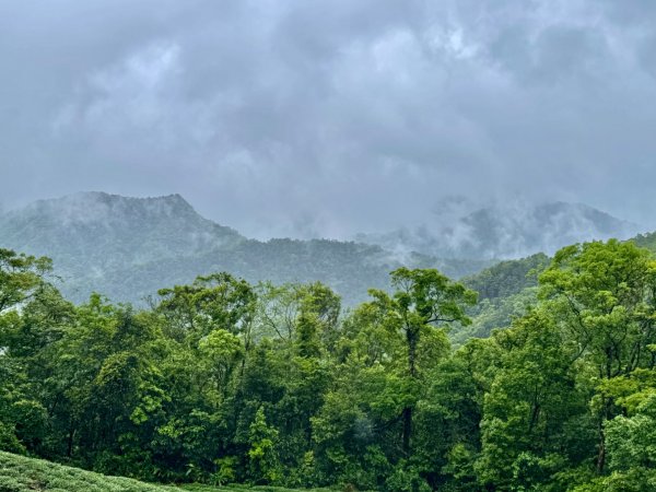 大舌湖山-漁光國小-茶園-虎寮潭吊橋2773004