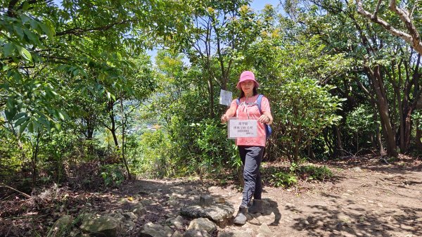 (姨婆趴趴走)第四十三集:攀登連走奇岩山、軍艦岩、丹鳳山2499552