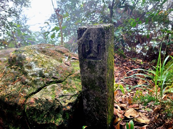 小百岳五指山連峰往返1946334