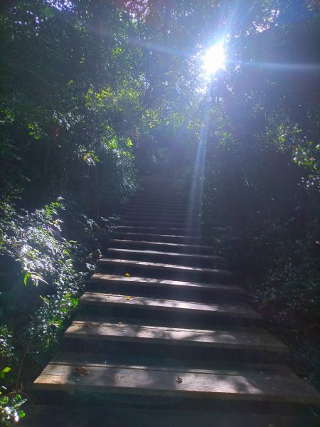 柴山/半屏山2858153