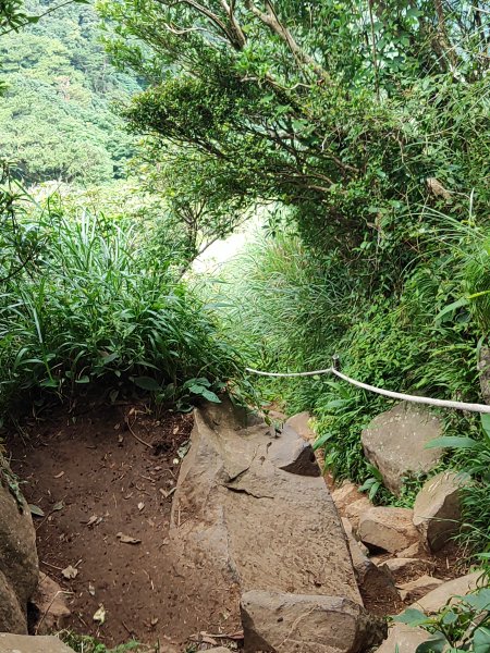 臺北大縱走第三段：小油坑至風櫃口2817678