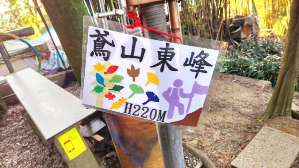 三峽鳶尾山，鳶山東峰，桃園神社，土城彈藥庫舊址探險，新北大都會公園，新店二叭子植物園，外挖子山1910436