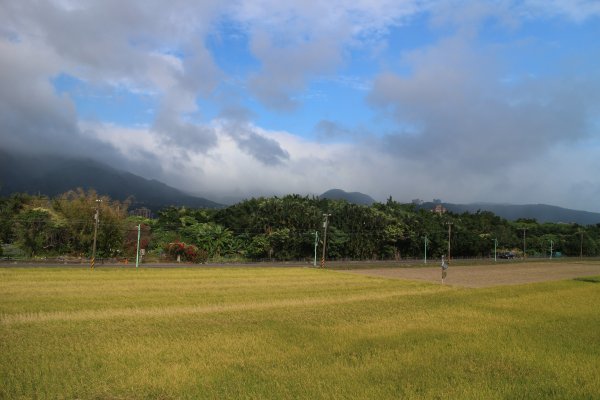 金色水岸自行車步道 續 八社段 202012061409289