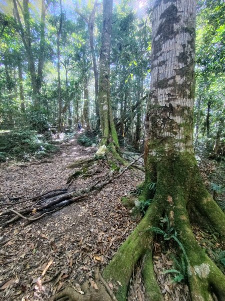 南東眼山連走有勝山2918735
