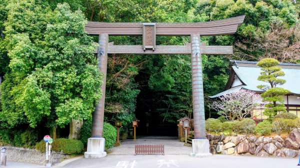 宮崎高千穗峽,愛情十字海3027818