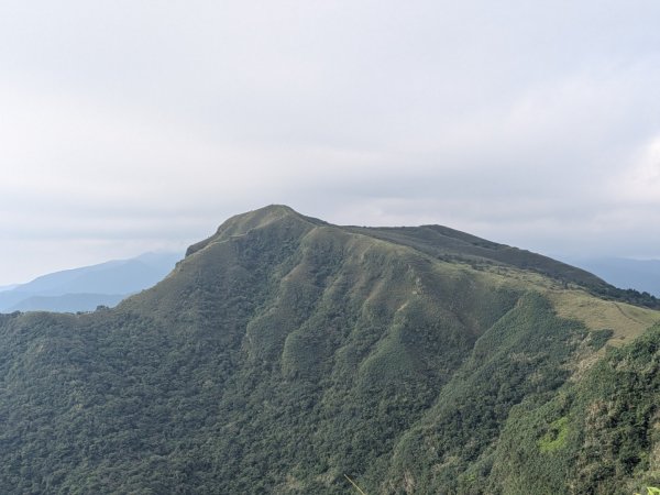 20251108桃源谷到草嶺古道大里天公廟2931456