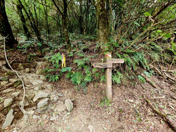 小百岳集起來-李崠山2183101