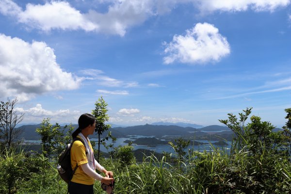 HK - 鷓鴣山1044397